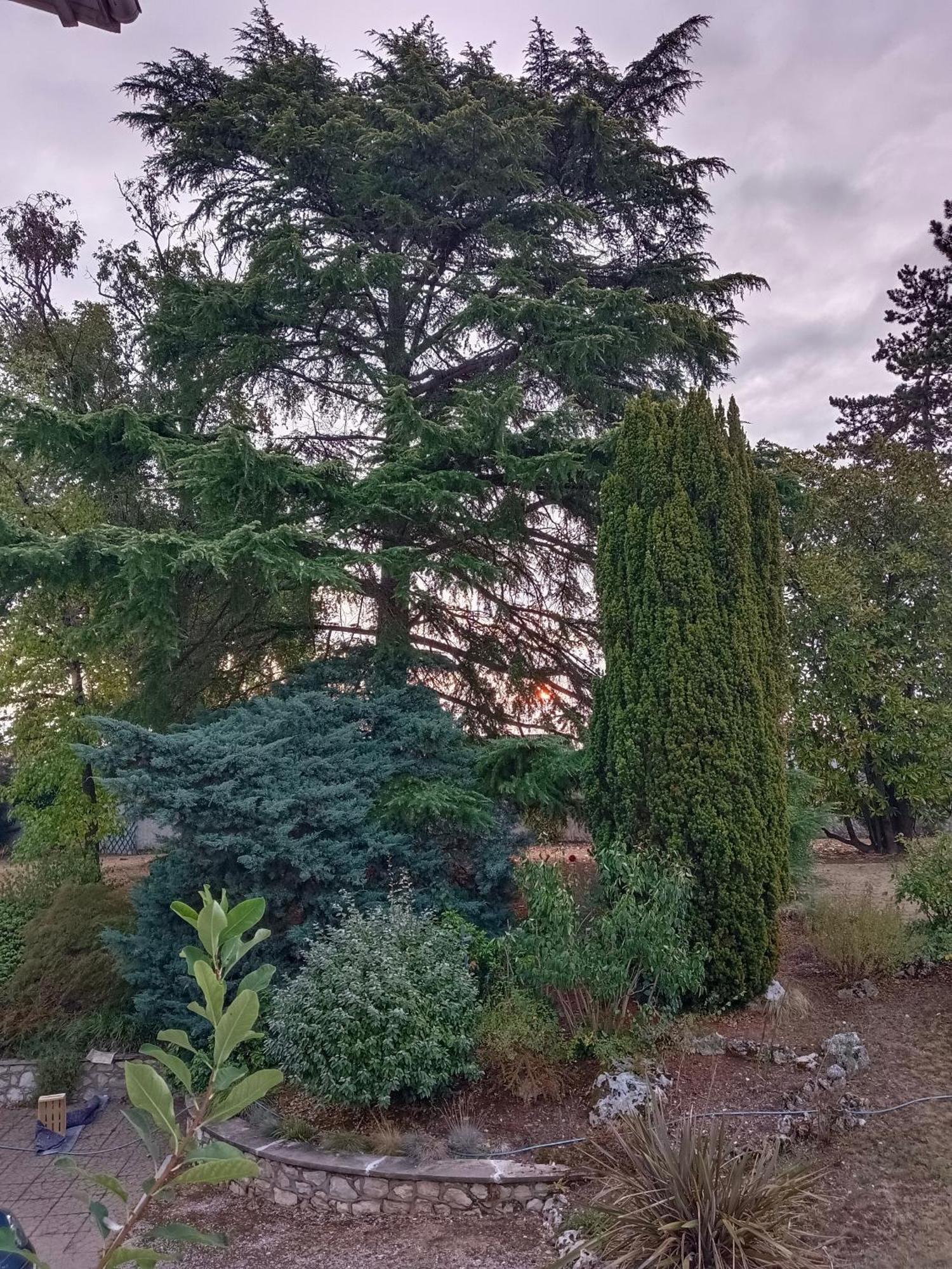 La Maison Basque Sainte-Livrade-sur-Lot Екстер'єр фото